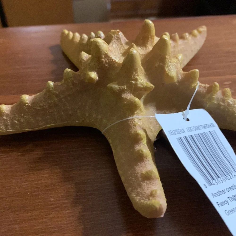 Starfish Wall Hook